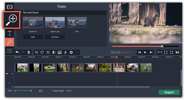 pan zoom video player