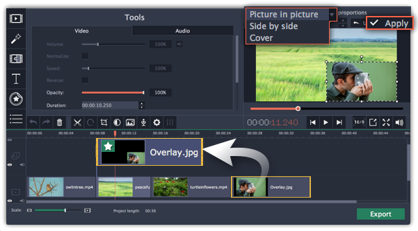 chroma key movavi video editor 12 not working